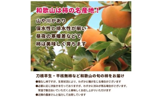 家庭用 訳あり たねなし 柿 7.5kg 【刀根早生・平核無柿（ひらたねなしかき）】