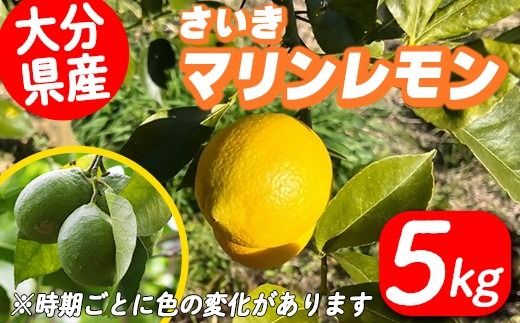 y啪sz } (v5kg) k  Y  EG ʕ  ʎ t[c 啪 syDD09zyJA 승kIʏz