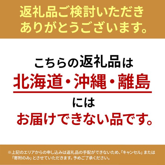 ぶどう ニューピオーネ 約2kg 3～4房 高梁市産 2026年 先行予約 贈答用 化粧箱 大粒 葡萄 ブドウ うめづぶどう園