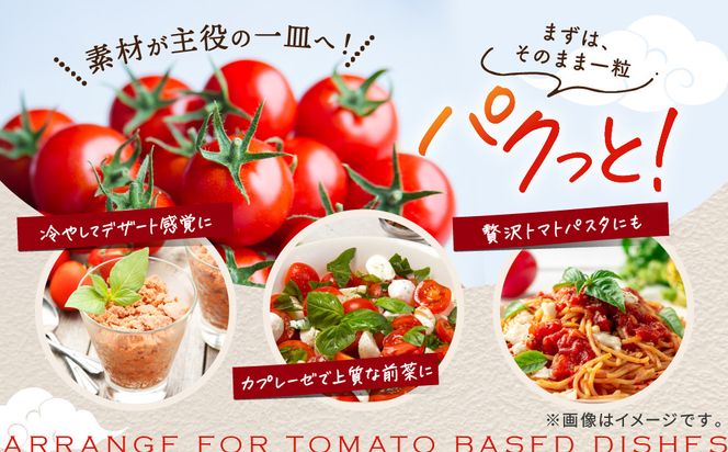 出雲の國からの贈り物～トマトを超えた超トマト３kg 322032_AT003