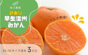【先行予約】2S~3L サイズ混合 3kg 阪口農園の 訳あり 早生温州みかん (マルチ栽培) 【2026年12月中旬から順次発送】 / みかん 蜜柑 先行予約 数量限定 ミカン【msa003A】