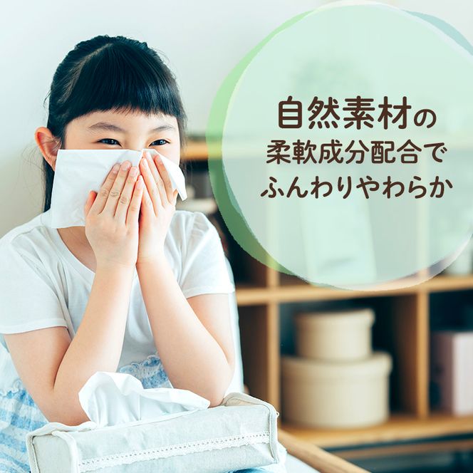 定期便 3ヵ月連続お届け エリエール 収納に便利 コンパクト 〈アソート〉 なまらたっぷり 大容量 トイレットペーパー ティッシュ トイレ ボックスティッシュ ひとり暮らし 紙 常備品 消耗品 日用品 生活必需品