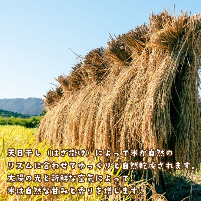 健幸農園の天日干し米5kg 白米