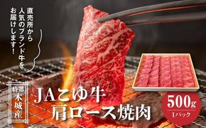 JAこゆ牛 特選木城産 肩ロース500g 焼肉用 K56_0004
