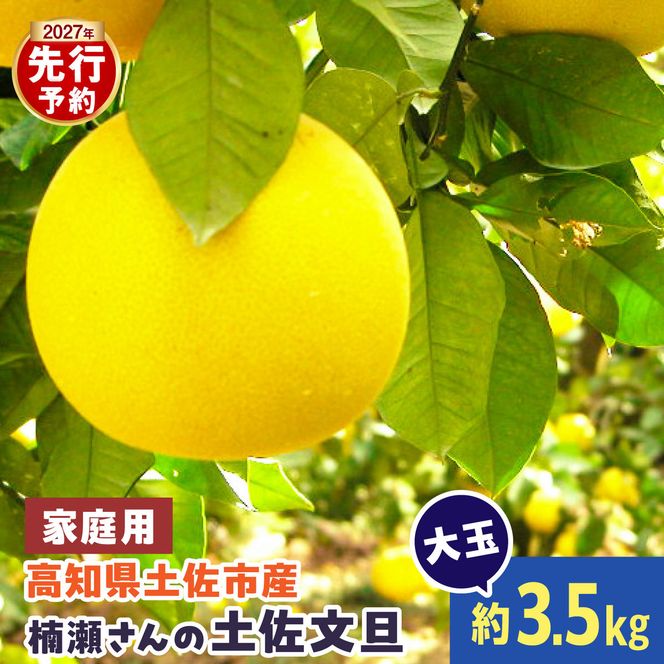 【先行予約】楠瀬さんの土佐文旦 家庭用大玉 約3.5kg  2L～4L〈2027年2月15日～2027年4月5日発送〉【まる庄果樹園】[BQAF021]