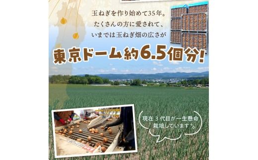 【予約：2026年10月から順次発送】日本一の生産地！北海道北見市の玉ねぎ 5kg！スープ2本付き♪ ( 玉ねぎ 玉葱 たまねぎ タマネギ オニオン スープ 即席 料理 )【164-0006-2026】