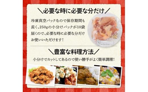 【小分け】宮崎県産若鶏　もも肉2.5kg（250g×10袋） 【 肉 鶏肉 精肉 小分け 便利 若鶏 もも 九州産 宮崎県産 川南町 おうちごはん 送料無料 】 [C06901]