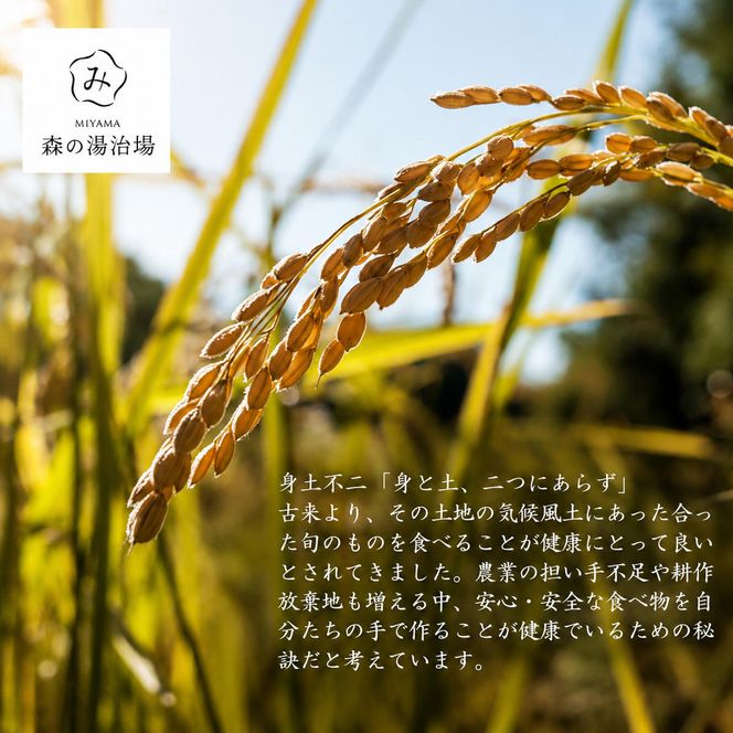 令和8年産先行予約 京都美山産 にじのきらめき 10kg 新米 精米 10キロ コメ こめ お米 単一原料米 ごはん ご飯 京都 新米26
