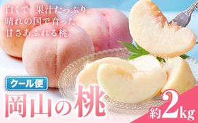 桃 岡山の桃 約2kg《6月下旬-9月上旬頃発送》岡山県 笠岡市 白桃 岡山 はくとう スイーツ フルーツ 果物 デザート 旬 モモ もも 送料無料 果物 清水白桃 白鳳 白麗 クール便---kasaoka_zsy_320_20m---