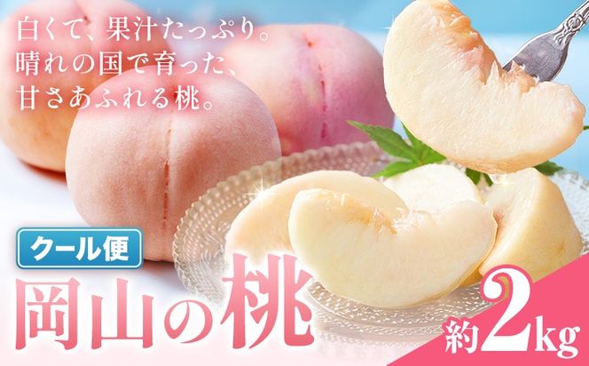 桃 岡山の桃 約2kg《6月下旬-9月上旬頃発送》岡山県 笠岡市 白桃 岡山 はくとう スイーツ フルーツ 果物 デザート 旬 モモ もも 送料無料 果物 清水白桃 白鳳 白麗 クール便---kasaoka_zsy_320_20m---