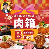 BN6136_お楽しみ肉箱 Bセット お試し ドキドキ 黒毛和牛 ハンバーグ メンチカツ ステーキ ロース ヒレ 焼肉 すき焼き しゃぶしゃぶ 盛り合わせ コロッケ ローストビーフ 食品 和歌山県 湯浅町 送料無料 