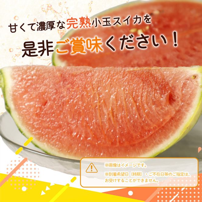 紀州 和歌山産 小玉スイカ 「ひとりじめ」  2玉 合計約3.6kg