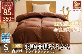 【春秋用】 洗える 羽毛布団 合掛け シングル ホワイトダックダウン85% 0.8kg 無地 ブラウン 中厚 春用 秋用 [川村羽毛 山梨県 韮崎市 20745413] 合い掛け 軽い羽毛 布団 コインランドリー 掛け布団 ダウンかけ布団 ふとん 羽毛ふとん 合掛け布団 エクセルゴールドラベル