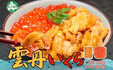 2498.  うに 100g いくら醤油漬け 200g ウニ チリ産 冷凍 いくら 二色丼 雲丹 イクラ 海鮮 海鮮丼 うに丼 いくら丼 いくら醤油漬け 送料無料 北海道 弟子屈町