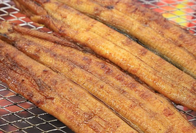 【魚のプロが厳選】愛知県三河一色産 活うなぎの蒲焼き 1尾（約150g） 18-24