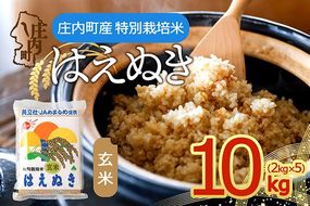 庄内町産 特別栽培米 玄米はえぬき 10kg 2kg×5袋 令和7年産 2025年産 はえぬき 玄米 ブランド米 米 国産 単一原料米 山形 庄内平野 コシヒカリの原点、亀の尾発祥の地 庄内