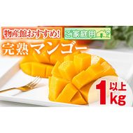 【0145910a】＜先行予約・数量限定＞南国鹿児島県産の太陽の恵み！完熟マンゴー(計1kg以上・2-3個入り) 果物 フルーツ 果実 デザート 国産 冷蔵 【東串良物産館ルピノンの里】