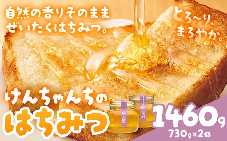 けんちゃんちのはちみつ 730g 2個セット[30日以内に出荷予定(土日祝除く)]ふるさと納税 はちみつ ハチミツ 蜂蜜 国産蜂蜜 天然蜜蜂 徳島県 佐那河内村 送料無料---tsm_mkf7_30d_25_23500_1460g---