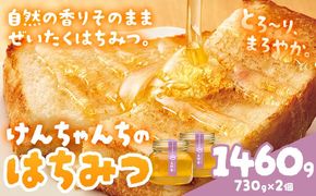 けんちゃんちのはちみつ 730g 2個セット《30日以内に出荷予定（土日祝除く）》ふるさと納税 はちみつ ハチミツ 蜂蜜 国産蜂蜜 天然蜜蜂 徳島県 佐那河内村 送料無料---tsm_mkf7_30d_25_23500_1460g---