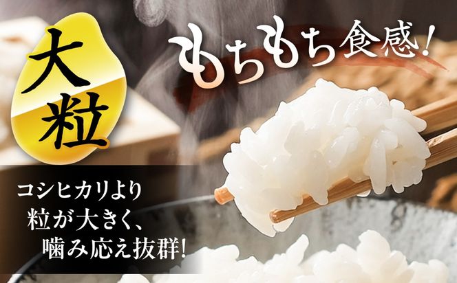 にこまる 白米 10kg / 戸倉トラクター[AECS056]