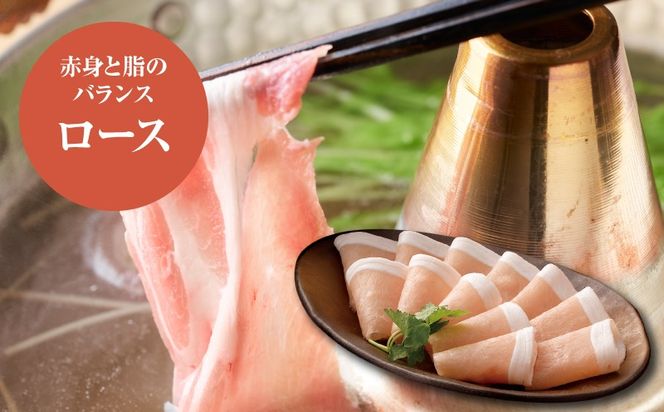 バラエティA（ロース500g・バラ500g・もも500g×2）計2kg K16_0118