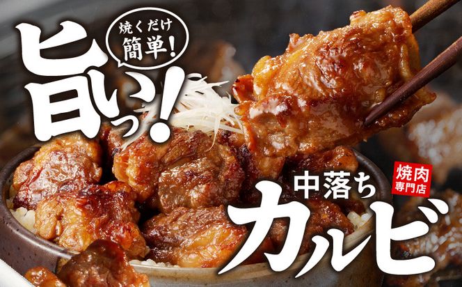 099H3565 焼き肉専門店 自家製タレ漬け 中落ちカルビ 合計500g（250g×2）