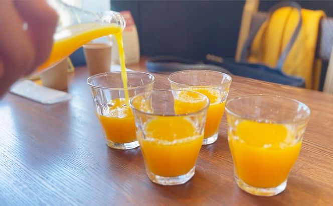 海津っ子の想い出の味　最高のみかんジュース　2本セット 果汁飲料 野菜飲料 