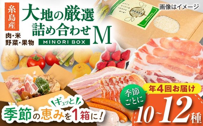 yszyS4 ߘa7NYVāzY    ʕ Ilߍ킹 MINORI BOX MTCYyG߂ƂɔN4񂨓͂z s / emma.Inc /    ʕ lߍ킹[AOP002]    ɂ  ₳ ʕ   lߍ킹 MINORI