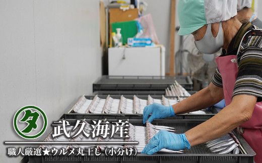 職人厳選 ウルメ丸干し小分け（4尾×12袋）鰯 いわし おつまみ 