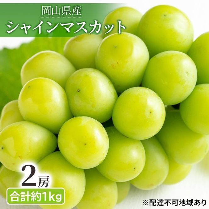 先行予約 晴れの国 岡山のフルーツ 定期便 3回コース 1回目 岡山 白桃6玉 合計約1.2kg／2回目 桃太郎ぶどう２房 合計約1kg／シャインマスカット 2房 合計約1kg