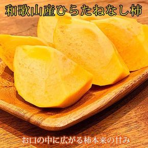 〈定期便〉【10・11・12月 全3回】和歌山産 みかんと柿のお楽しみ 定期便 【ご家庭用】【魚鶴】◇