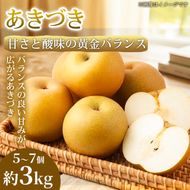 【甘さと酸味の黄金バランス】熊本県産 あきづき 5～7個(約3kg) 1箱 あきづき 梨 フルーツ 甘い 濃厚 農家直送 ギフト 贈答用 家庭用 お取り寄せ 熊本県