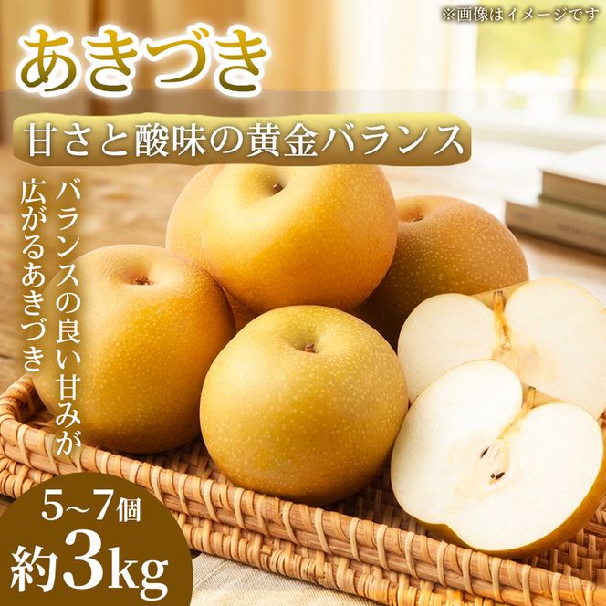 【甘さと酸味の黄金バランス】熊本県産 あきづき 5～7個(約3kg) 1箱 あきづき 梨 フルーツ 甘い 濃厚 農家直送 ギフト 贈答用 家庭用 お取り寄せ 熊本県