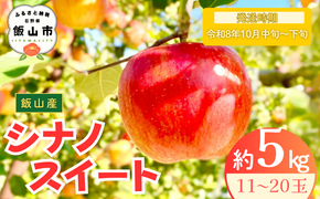 【先行予約丨2026年10月中旬より順次発送】シナノスイート【約5kg (11〜20玉)】(At-012)丨長野県 飯山市 おすすめ ランキング おいしい 高評価 大人気 先取り 産地直送 りんご