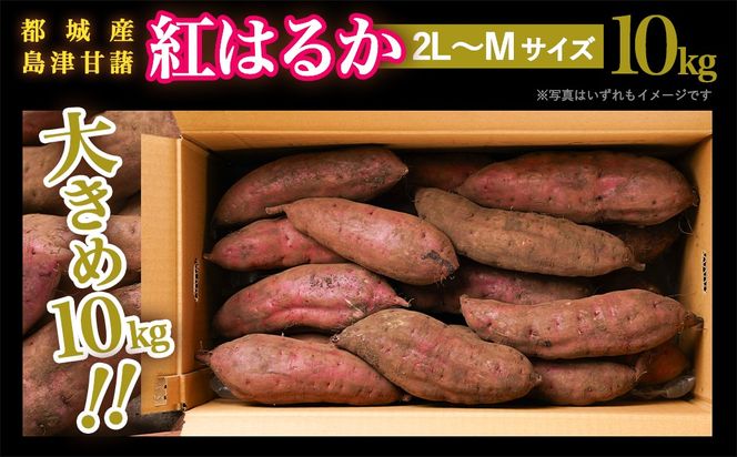 島津甘藷　熟成紅はるか 10kg(2L～2S)_AA-A701