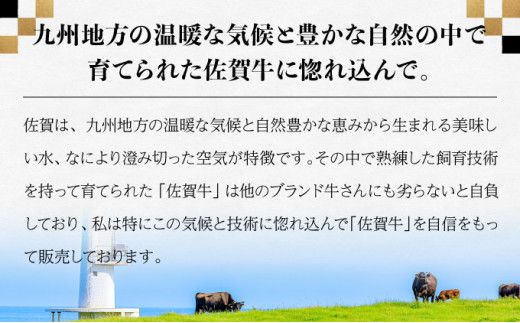 佐賀牛セット 年4回定期便コース(2人前) H-307
