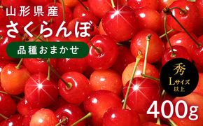 FYN6-524 ≪2026年先行予約≫山形県産 さくらんぼ 品種おまかせ(佐藤錦・紅秀峰など) 400g 秀/L以上 バラパック詰め 2026年6月中旬頃より発送 果物 くだもの フルーツ 夏果実 サクランボ チェリー 桜桃 高級 化粧箱 ギフト箱 贈り物 贈答 ギフト プレゼント 自宅 家庭 産地直送 山形県 西川町 月山