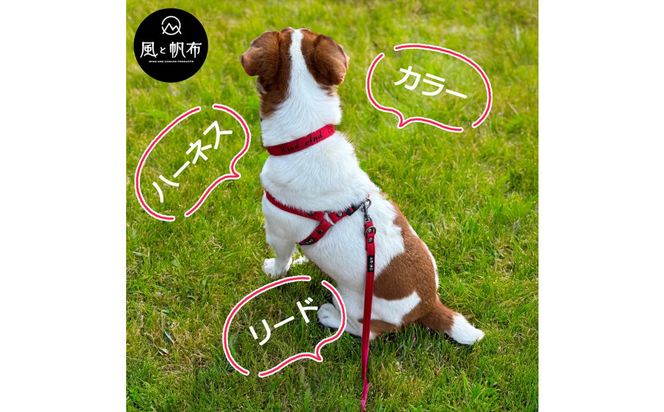 香川県産 丈夫でやさしい綿帆布ドッグハーネス 天然コットン レッド、1点 372013_LJ004VC04