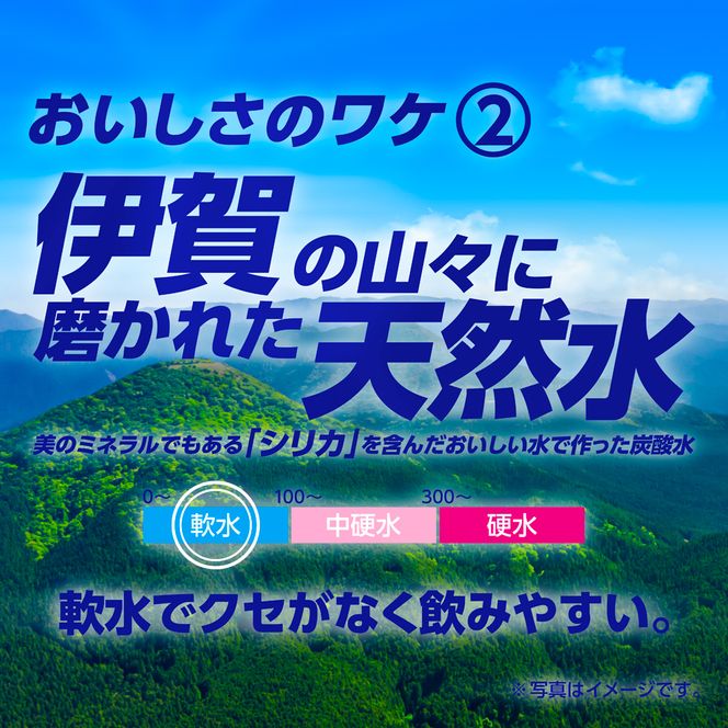 【12ヶ月定期便】サンガリア　伊賀の天然水　強炭酸水　1ケース（1L×12本）【igge-tkb0012】