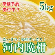 フルーツアイランド・マルエム青果の河内晩柑 5kg (なくなり次第終了)