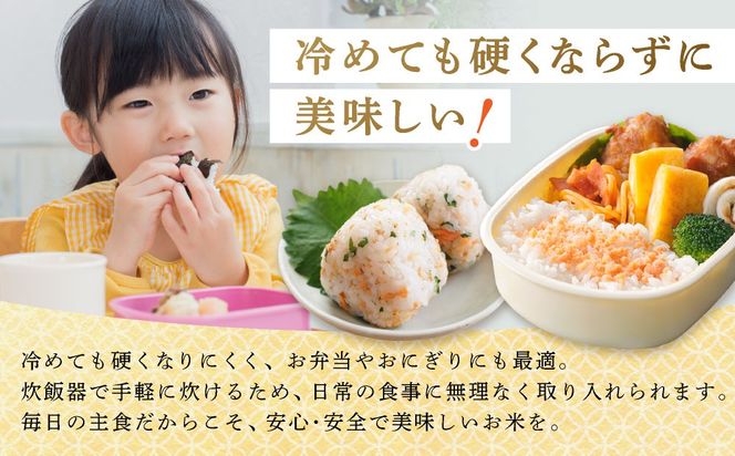 ＜先行予約＞【3回定期便】令和8年産 ななつぼし 精米 5kg｜生産者直送 北海道伊達産 北海道 ブランド米【tkk-023_03】