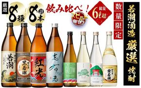 ＜入金確認後、2週間以内に発送！＞【数量限定】まるごと若潮酒造8本セット(白若潮・黒若潮・紅光・志布志プレミアムブルー 900ml、GLOW EP05・歩く一日・笑う一日・黄若潮 720ｍl) c9-009-2w