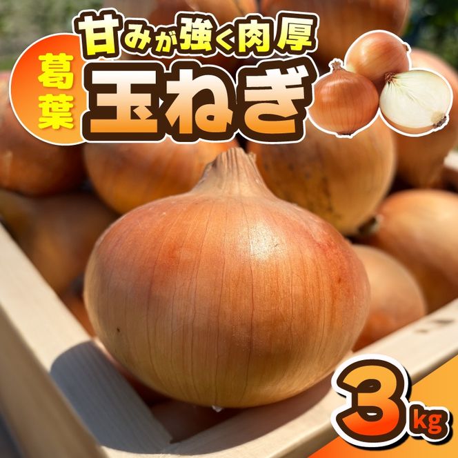 010B1965 葛葉玉ねぎ 3kg【10玉程度 泉佐野市 泉州たまねぎ 肉厚 甘い】
