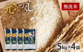 令和7年産　福岡県産ブランド米「元気つくし」無洗米20kg