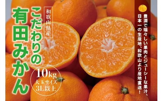 【農家直送】有田みかん 約10kg 大玉3L以上 先行予約 有機質肥料100% ※2026年11月～12月に順次発送予定(お届け日指定不可) みかん 柑橘類【nuk139F】