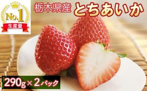 いちご（とちあいか）290g×2パック 喜連川産 ｜ 道の駅きつれがわ 苺 イチゴ 先行予約 数量限定 栃木県 さくら市 果物 くだもの フルーツ スイーツ プレゼント ※2025年1月上旬～2月下旬頃に順次発送予定