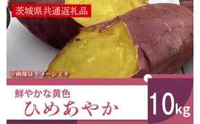 【先行予約】【11月より順次発送】2026年産 鮮やかな黄色のさつまいも ひめあやか10kg（茨城県共通返礼品・行方市産）【サツマイモ　芋　おいしい　甘い 大量 しっとり 焼き芋　てんぷら スイートポテト】(AK108)