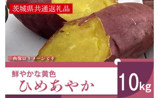 【先行予約】【11月より順次発送】2026年産 鮮やかな黄色のさつまいも ひめあやか10kg（茨城県共通返礼品・行方市産）【サツマイモ　芋　おいしい　甘い 大量 しっとり 焼き芋　てんぷら スイートポテト】(AK108)