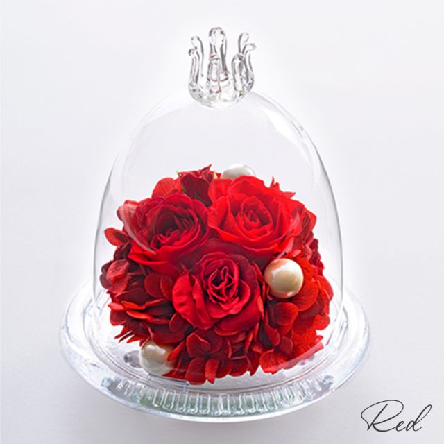 ガラスドームS 花 お花 プリザーブドフラワー ギフト プレゼント お祝い 誕生日 お供え アレンジ インテリア 東京都 墨田区
