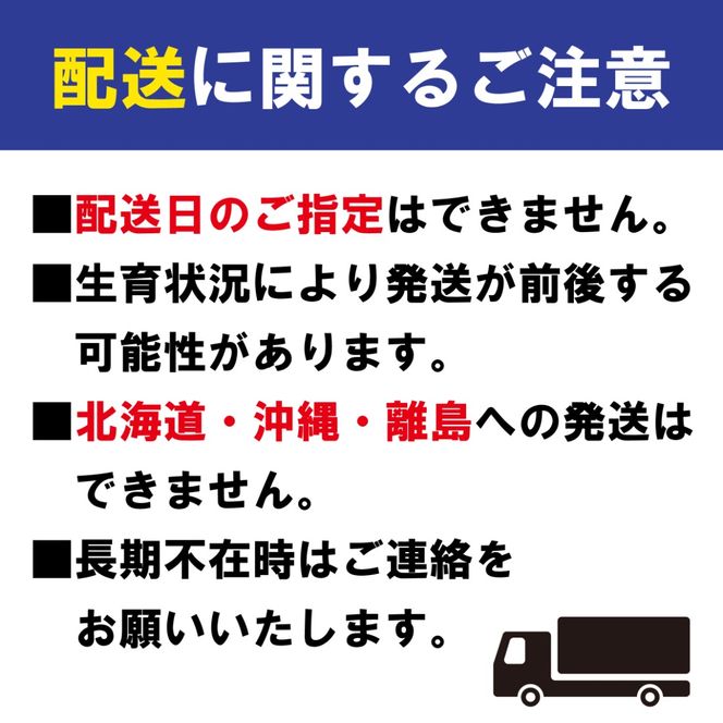 【2026年11月中旬より順次発送】【特秀品】みかん 小原紅早生 約5kg 真っ赤なみかん 小原紅早生みかん 甘い ミカン 蜜柑 フルーツ 果物 くだもの 柑橘 柑橘類 デザート 旬 産地直送 冬の味覚 旬の果物 旬のフルーツ お取り寄せ 取り寄せ